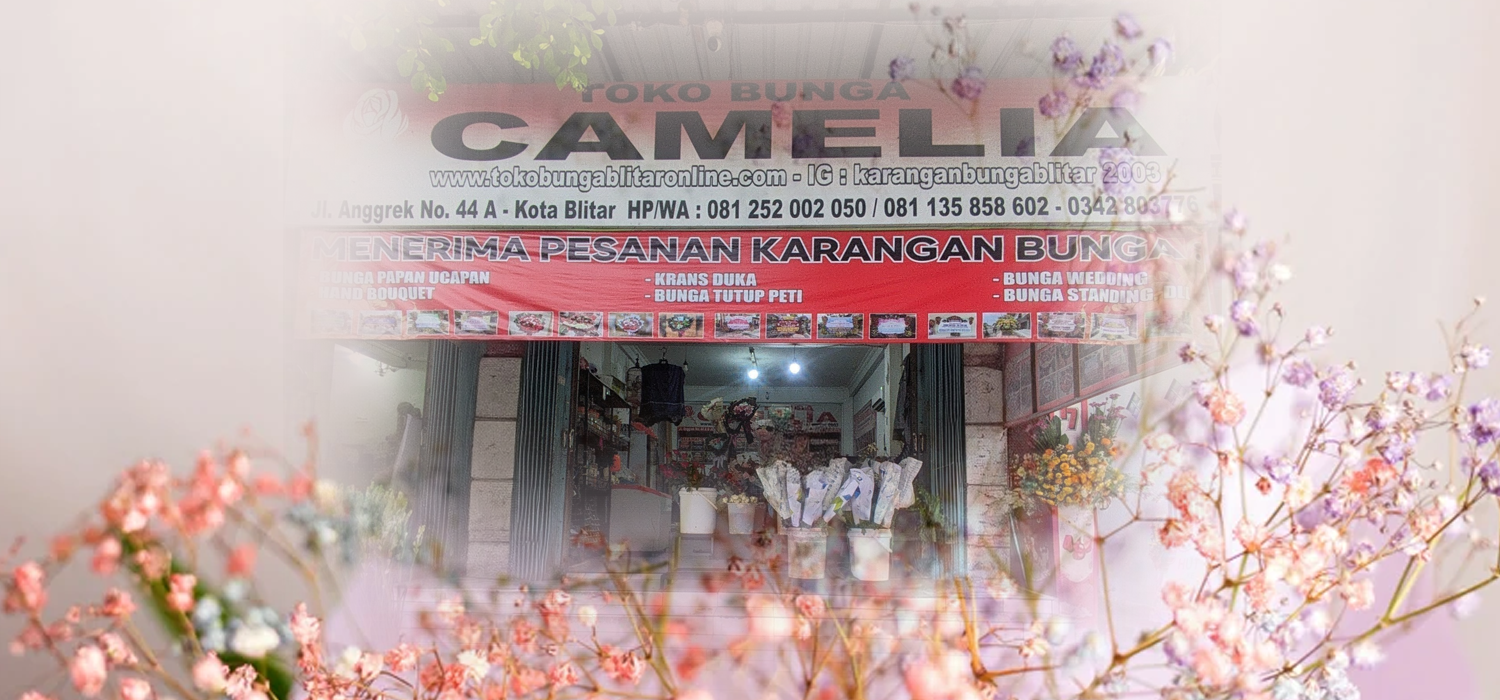 Kontak Kami